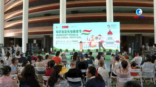全球連線(xiàn) 以美食促交流 匈牙利文化與美食節(jié)亮相河北廊坊
